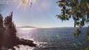 ./images/koeye/fitz-hugh/20260410/fitz-hugh20260410_154502M.jpg