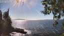 ./images/koeye/fitz-hugh/20260410/fitz-hugh20260410_155002M.jpg