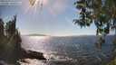 ./images/koeye/fitz-hugh/20260410/fitz-hugh20260410_155501M.jpg