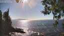 ./images/koeye/fitz-hugh/20260410/fitz-hugh20260410_162001M.jpg