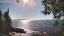 ./images/koeye/fitz-hugh/20260410/fitz-hugh20260410_162501M.jpg