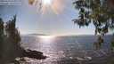 ./images/koeye/fitz-hugh/20260410/fitz-hugh20260410_163002M.jpg