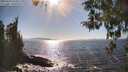 ./images/koeye/fitz-hugh/20260410/fitz-hugh20260410_163501M.jpg