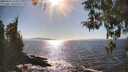./images/koeye/fitz-hugh/20260410/fitz-hugh20260410_164001M.jpg
