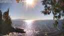 ./images/koeye/fitz-hugh/20260410/fitz-hugh20260410_165001M.jpg