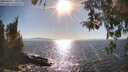 ./images/koeye/fitz-hugh/20260410/fitz-hugh20260410_171001M.jpg