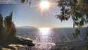 ./images/koeye/fitz-hugh/20260410/fitz-hugh20260410_171501M.jpg