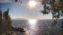 ./images/koeye/fitz-hugh/20260410/fitz-hugh20260410_172001M.jpg
