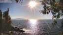 ./images/koeye/fitz-hugh/20260410/fitz-hugh20260410_172501M.jpg