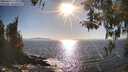 ./images/koeye/fitz-hugh/20260410/fitz-hugh20260410_173002M.jpg