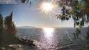 ./images/koeye/fitz-hugh/20260410/fitz-hugh20260410_173501M.jpg