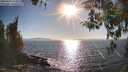 ./images/koeye/fitz-hugh/20260410/fitz-hugh20260410_174001M.jpg