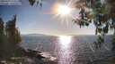 ./images/koeye/fitz-hugh/20260410/fitz-hugh20260410_174501M.jpg