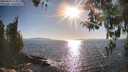 ./images/koeye/fitz-hugh/20260410/fitz-hugh20260410_175001M.jpg