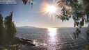 ./images/koeye/fitz-hugh/20260410/fitz-hugh20260410_175502M.jpg