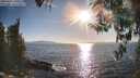 ./images/koeye/fitz-hugh/20260410/fitz-hugh20260410_180501M.jpg