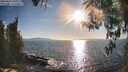 ./images/koeye/fitz-hugh/20260410/fitz-hugh20260410_181001M.jpg