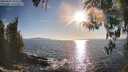 ./images/koeye/fitz-hugh/20260410/fitz-hugh20260410_181501M.jpg