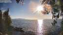 ./images/koeye/fitz-hugh/20260410/fitz-hugh20260410_182001M.jpg