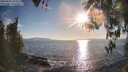 ./images/koeye/fitz-hugh/20260410/fitz-hugh20260410_182501M.jpg