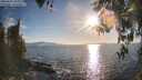 ./images/koeye/fitz-hugh/20260410/fitz-hugh20260410_183002M.jpg