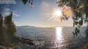 ./images/koeye/fitz-hugh/20260410/fitz-hugh20260410_183501M.jpg