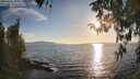 ./images/koeye/fitz-hugh/20260410/fitz-hugh20260410_185001M.jpg