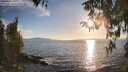 ./images/koeye/fitz-hugh/20260410/fitz-hugh20260410_185501M.jpg