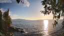 ./images/koeye/fitz-hugh/20260410/fitz-hugh20260410_190001M.jpg