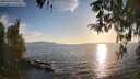 ./images/koeye/fitz-hugh/20260410/fitz-hugh20260410_190501M.jpg