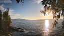 ./images/koeye/fitz-hugh/20260410/fitz-hugh20260410_191001M.jpg