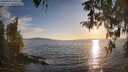 ./images/koeye/fitz-hugh/20260410/fitz-hugh20260410_191501M.jpg