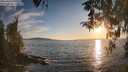 ./images/koeye/fitz-hugh/20260410/fitz-hugh20260410_192501M.jpg