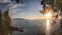 ./images/koeye/fitz-hugh/20260410/fitz-hugh20260410_193001M.jpg