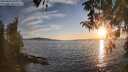 ./images/koeye/fitz-hugh/20260410/fitz-hugh20260410_194001M.jpg