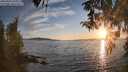 ./images/koeye/fitz-hugh/20260410/fitz-hugh20260410_194501M.jpg