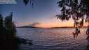./images/koeye/fitz-hugh/20260410/fitz-hugh20260410_204502M.jpg