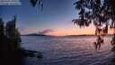 ./images/koeye/fitz-hugh/20260410/fitz-hugh20260410_205002M.jpg