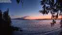 ./images/koeye/fitz-hugh/20260410/fitz-hugh20260410_205501M.jpg