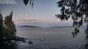 ./images/koeye/fitz-hugh/20260411/fitz-hugh20260411_064001M.jpg