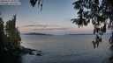 ./images/koeye/fitz-hugh/20260411/fitz-hugh20260411_064502M.jpg