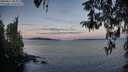 ./images/koeye/fitz-hugh/20260411/fitz-hugh20260411_065001M.jpg