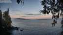 ./images/koeye/fitz-hugh/20260411/fitz-hugh20260411_065501M.jpg