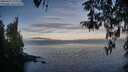 ./images/koeye/fitz-hugh/20260411/fitz-hugh20260411_072502M.jpg