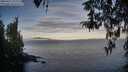 ./images/koeye/fitz-hugh/20260411/fitz-hugh20260411_073002M.jpg