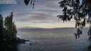./images/koeye/fitz-hugh/20260411/fitz-hugh20260411_073501M.jpg