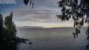 ./images/koeye/fitz-hugh/20260411/fitz-hugh20260411_074001M.jpg