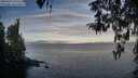 ./images/koeye/fitz-hugh/20260411/fitz-hugh20260411_074501M.jpg