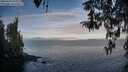 ./images/koeye/fitz-hugh/20260411/fitz-hugh20260411_075001M.jpg