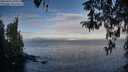 ./images/koeye/fitz-hugh/20260411/fitz-hugh20260411_075501M.jpg